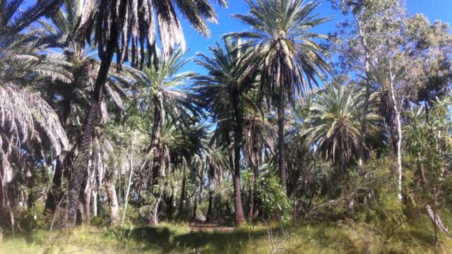 Millstream walking trail
