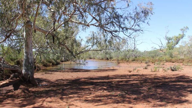 Tunkawanna Creek