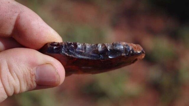 Glass woodworking tool