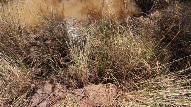 Flagstones by the old well