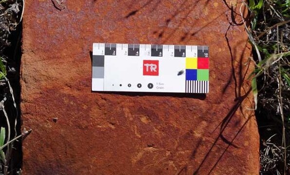 Chopping block outside camp kitchen